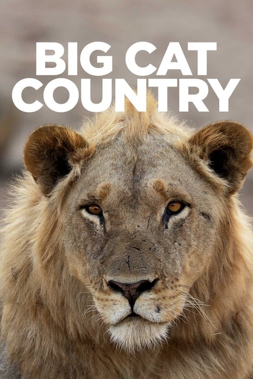 دانلود سریال Big Cat Country – کشور گربه بزرگ